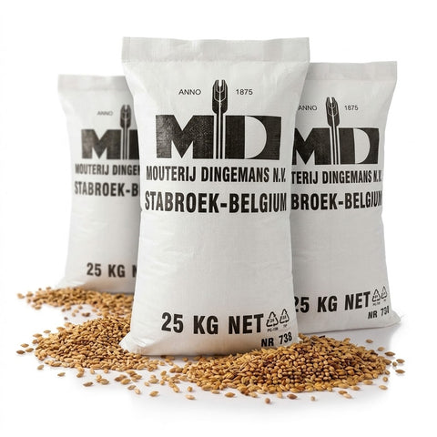 Dingemans Oat Malt MD 4 EBC