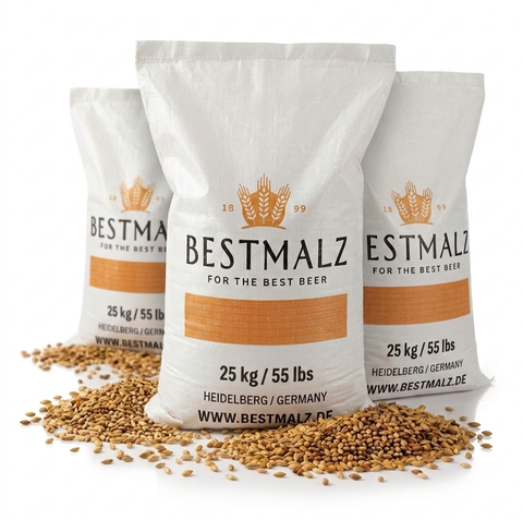 Bestmalz Chit Malt 2-3 EBC