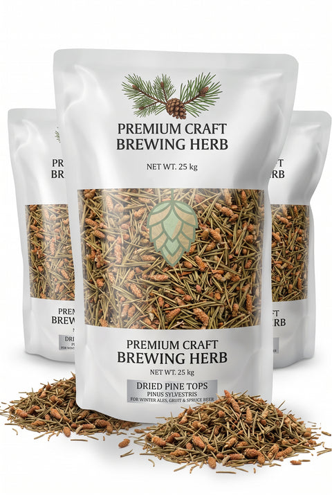 Dried Pine Tops (Dennentoppen) — Pinus sylvestris Brewing Herb for Winter Ales, Gruit & Spruce Beer